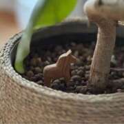 ヒメ日記 2026/01/01 23:16 投稿 浅田ゆみな MADAM