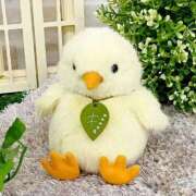 ヒメ日記 2026/01/03 17:01 投稿 浅田ゆみな MADAM