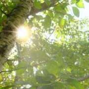 ヒメ日記 2026/01/04 06:31 投稿 浅田ゆみな MADAM