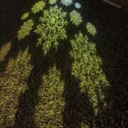 ヒメ日記 2026/01/04 22:31 投稿 浅田ゆみな MADAM