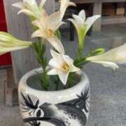 ヒメ日記 2026/01/07 22:31 投稿 浅田ゆみな MADAM