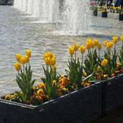 ヒメ日記 2026/01/12 10:31 投稿 浅田ゆみな MADAM