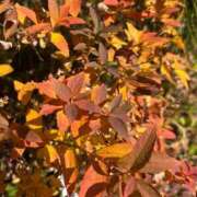 ヒメ日記 2026/01/14 19:01 投稿 浅田ゆみな MADAM