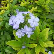 ヒメ日記 2026/01/16 09:16 投稿 浅田ゆみな MADAM