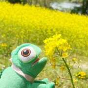 ヒメ日記 2026/01/18 06:31 投稿 浅田ゆみな MADAM