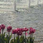 ヒメ日記 2026/01/21 06:31 投稿 浅田ゆみな MADAM