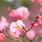 ヒメ日記 2026/01/21 21:31 投稿 浅田ゆみな MADAM