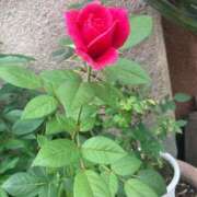 ヒメ日記 2026/01/22 14:31 投稿 浅田ゆみな MADAM