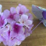 ヒメ日記 2026/01/27 08:31 投稿 浅田ゆみな MADAM