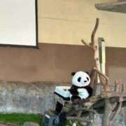 ヒメ日記 2026/01/27 22:16 投稿 浅田ゆみな MADAM