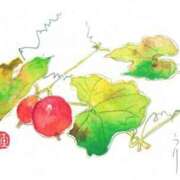 ヒメ日記 2026/01/28 09:46 投稿 浅田ゆみな MADAM