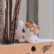 ヒメ日記 2026/01/29 22:31 投稿 浅田ゆみな MADAM