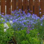 ヒメ日記 2026/01/30 09:16 投稿 浅田ゆみな MADAM