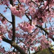 ヒメ日記 2026/02/01 23:01 投稿 浅田ゆみな MADAM