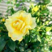 ヒメ日記 2026/02/03 09:31 投稿 浅田ゆみな MADAM