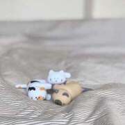 ヒメ日記 2026/02/03 23:16 投稿 浅田ゆみな MADAM