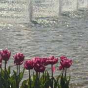 ヒメ日記 2026/02/05 14:46 投稿 浅田ゆみな MADAM