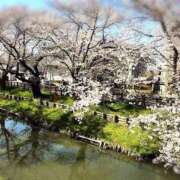 ヒメ日記 2026/02/05 22:16 投稿 浅田ゆみな MADAM