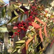 ヒメ日記 2026/02/06 09:46 投稿 浅田ゆみな MADAM