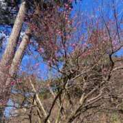 ヒメ日記 2026/02/10 22:02 投稿 浅田ゆみな MADAM