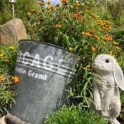 ヒメ日記 2026/02/11 14:31 投稿 浅田ゆみな MADAM