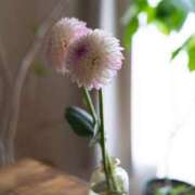 ヒメ日記 2026/02/11 21:46 投稿 浅田ゆみな MADAM