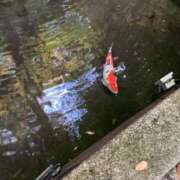 ヒメ日記 2026/02/13 08:46 投稿 浅田ゆみな MADAM