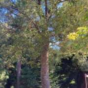 ヒメ日記 2026/02/15 06:46 投稿 浅田ゆみな MADAM