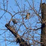 ヒメ日記 2026/02/16 09:01 投稿 浅田ゆみな MADAM