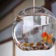 ヒメ日記 2026/02/16 22:31 投稿 浅田ゆみな MADAM