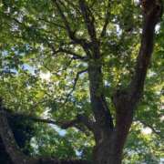 ヒメ日記 2026/02/18 06:31 投稿 浅田ゆみな MADAM