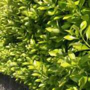 ヒメ日記 2026/02/20 14:01 投稿 浅田ゆみな MADAM