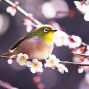 ヒメ日記 2026/02/25 07:01 投稿 浅田ゆみな MADAM