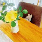 浅田ゆみな １日のおわりに? MADAM