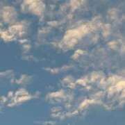 浅田ゆみな 2月26日　木曜日　くもり? MADAM