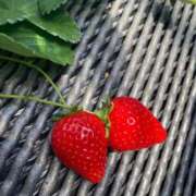 浅田ゆみな 【お礼写メ日記】やる気スイッチはここに？ MADAM