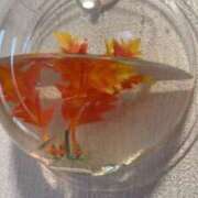 ヒメ日記 2026/03/04 22:01 投稿 浅田ゆみな MADAM