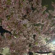 ヒメ日記 2026/03/07 23:16 投稿 浅田ゆみな MADAM