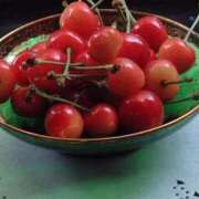 ヒメ日記 2026/03/25 16:16 投稿 浅田ゆみな MADAM