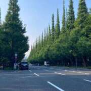 ヒメ日記 2026/03/30 09:16 投稿 浅田ゆみな MADAM