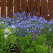 ヒメ日記 2026/03/31 22:46 投稿 浅田ゆみな MADAM