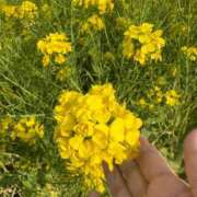 ヒメ日記 2026/04/08 14:46 投稿 浅田ゆみな MADAM