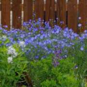 浅田ゆみな 1日の終わりに? MADAM