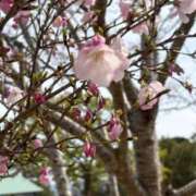 ヒメ日記 2026/04/27 07:46 投稿 浅田ゆみな MADAM