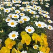 ヒメ日記 2026/04/29 23:16 投稿 浅田ゆみな MADAM