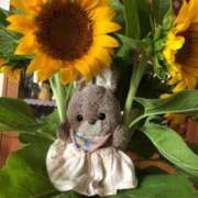 ヒメ日記 2026/04/29 23:31 投稿 浅田ゆみな MADAM