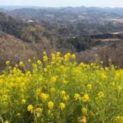 ヒメ日記 2026/04/30 00:01 投稿 浅田ゆみな MADAM