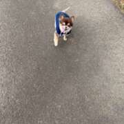 ヒメ日記 2025/12/31 23:01 投稿 塚田まゆな MADAM