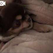 ヒメ日記 2026/02/01 23:16 投稿 塚田まゆな MADAM