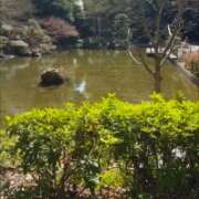 ヒメ日記 2026/03/14 15:46 投稿 塚田まゆな MADAM